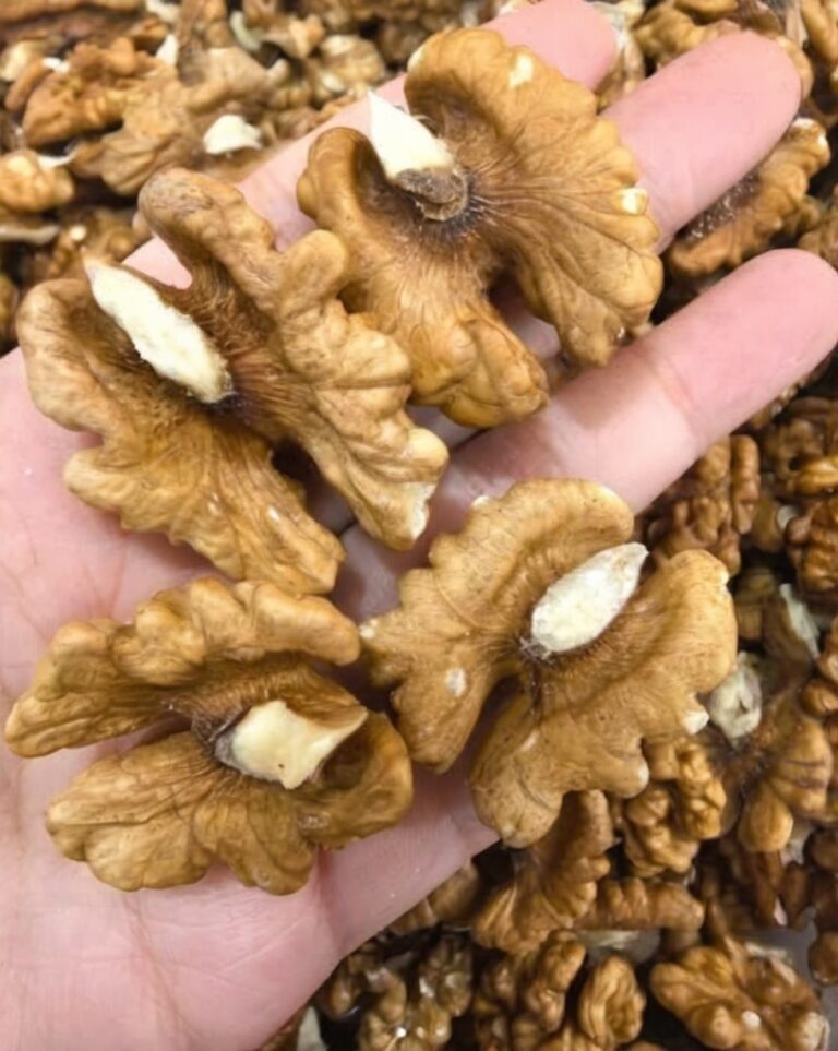 Doctors Reveal That Eating Walnuts Causes Remarkable Changes in the Brain and Body